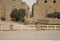 Photo Texture of Karnak Temple 0045